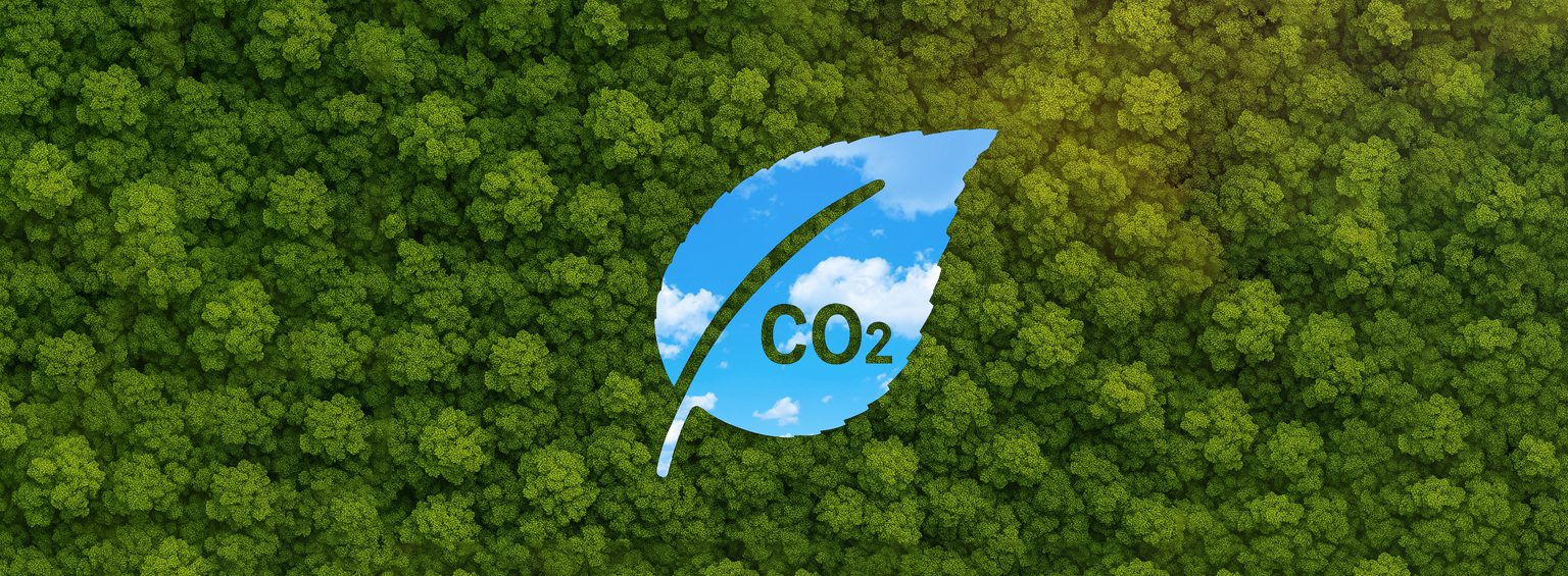 Decarbonization